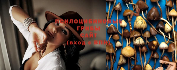 сатива Волосово