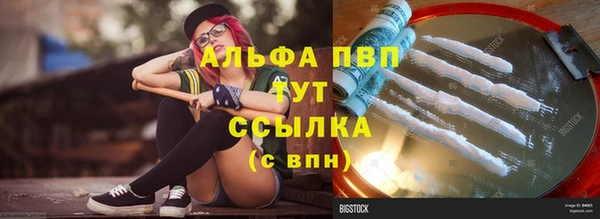 сатива Волосово