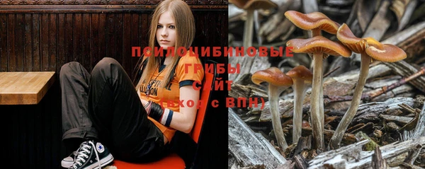 ECSTASY Волоколамск