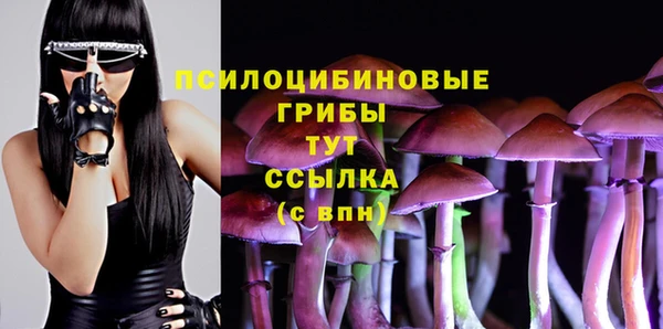 spice Володарск